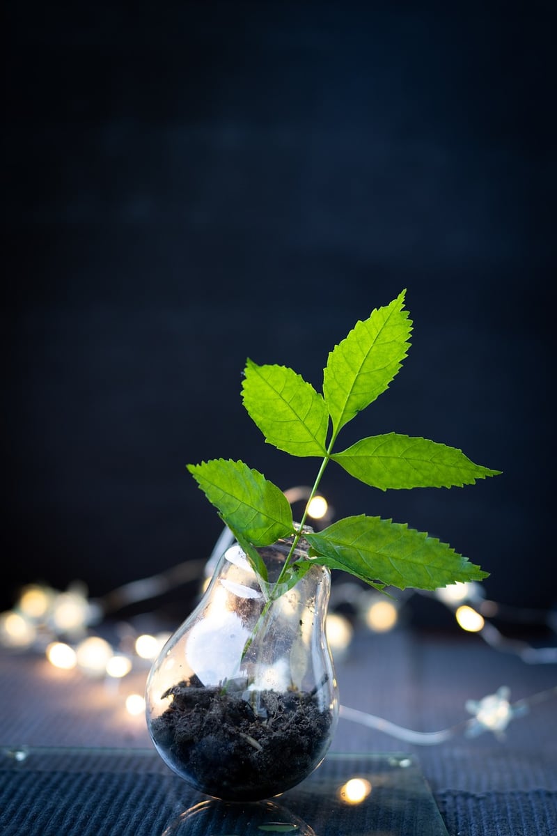 Recycled Ornaments